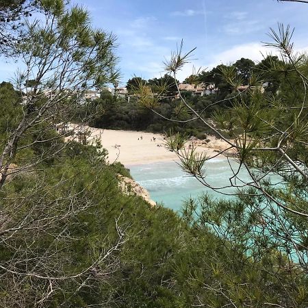 Ses Gavines-Cala Anguila Apartments Porto Cristo Dış mekan fotoğraf