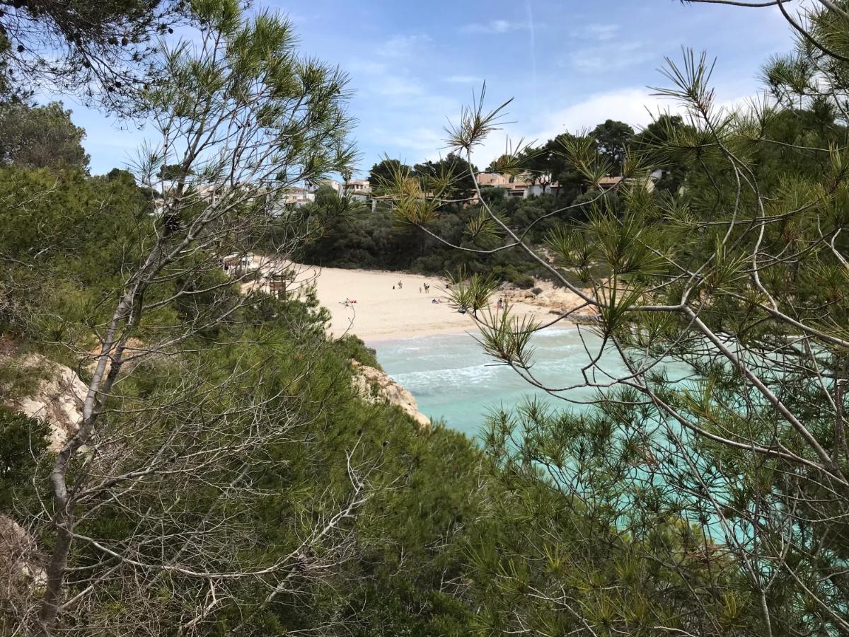 Ses Gavines-Cala Anguila Apartments Porto Cristo Dış mekan fotoğraf